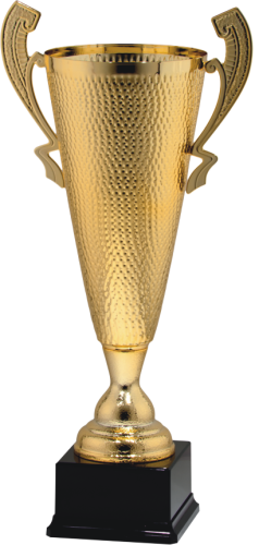 Puchar oryginalny 7025