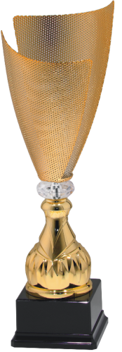 Puchar biznesowy 7035 - Puchary prestiżowe