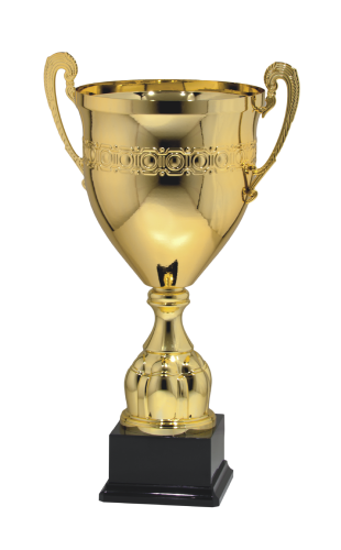 Prestiżowy Puchar Metalowy 7299