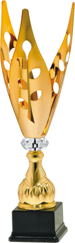 Okazyjny Puchar Metalowy 7062