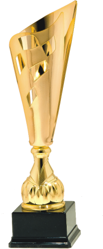  Okazyjny Puchar Metalowy 9003