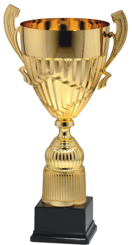 Okazyjny Puchar Metalowy 9043