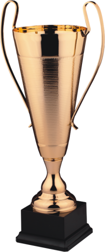 Prestiżowy Puchar Metalowy 9051 - Okolicznościowe Trofeum Sportowe