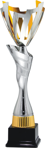 Okazyjny Puchar Metalowy 9065