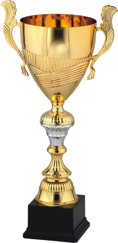 Złoty Puchar Stalowy S-9086 - Okolicznościowe Trofea Sportowe