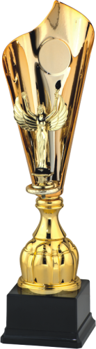 Okolicznościowy Puchar Metalowy 9093 - Unikatowe Trofea Sportowe