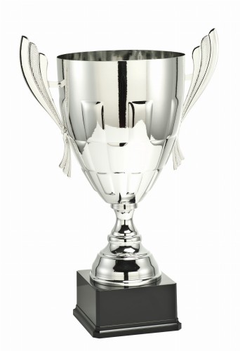 Srebrny Puchar Hektor LT.040 - Okazjonalne Puchary Metalowe 