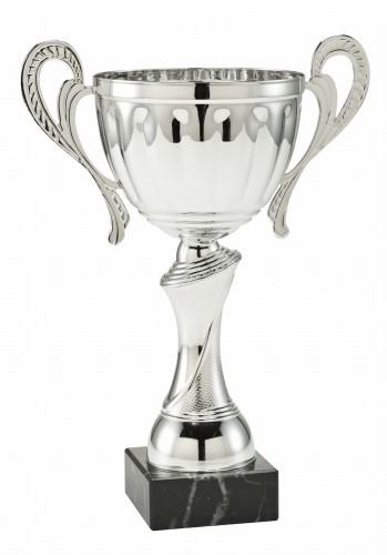 Sportowy Puchar Silver Sparkler MT.071 - Okazjonalne Puchary Warszawa