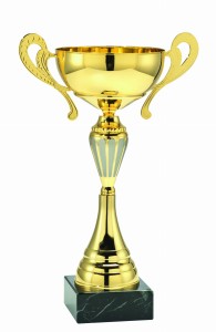 Wyjątkowy Puchar Acardian MT.080 - Trofeum Sportowe 