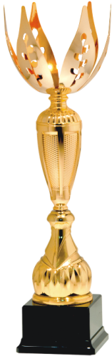 Złoty Puchar GRACJA 10135 - Okolicznościowe Puchary Sportowe