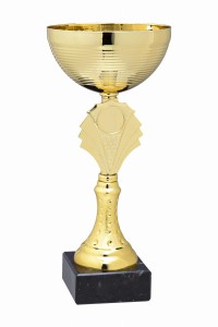 Okazjonalny Puchar Gold Ignis ET.382 - Nagrody Sportowe Warszawa