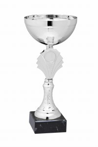 Okazjonalny Puchar Silver Ignis ET.383 - Nagrody Sportowe Warszawa
