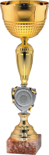 Metalowy Puchar VIRTUS 9178 - Okazjonalne Puchary Sportowe