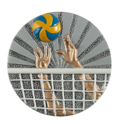 Emblemat Siatkówka FG007