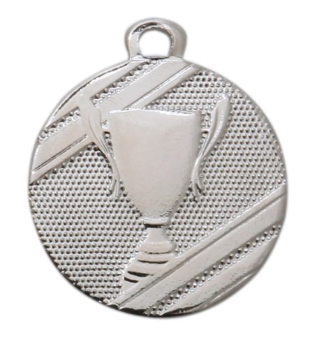Srebrny Medal Stalowy D106