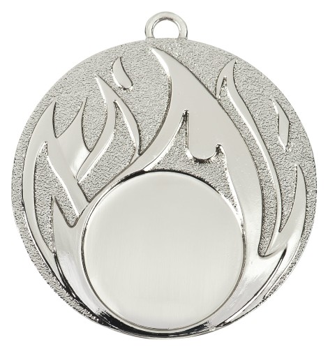 Srebrny Medal D49 - Medale Stalowe