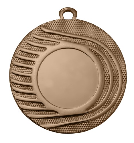 Brązowy Medal DI2001 - Medale Stalowe