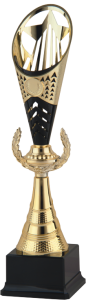 Okazyjny Puchar TRIUMPH STAR S-9210 - Unikatowe Nagrody Turniejowe