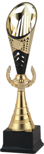 Okazyjny Puchar TRIUMPH STAR S-9210 - Unikatowe Nagrody Turniejowe