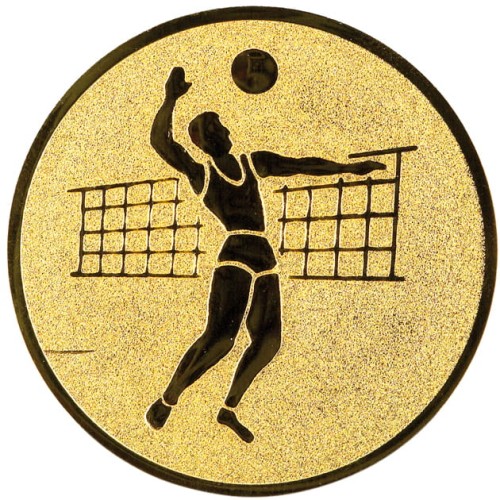 Emblemat Siatkówka A1.019