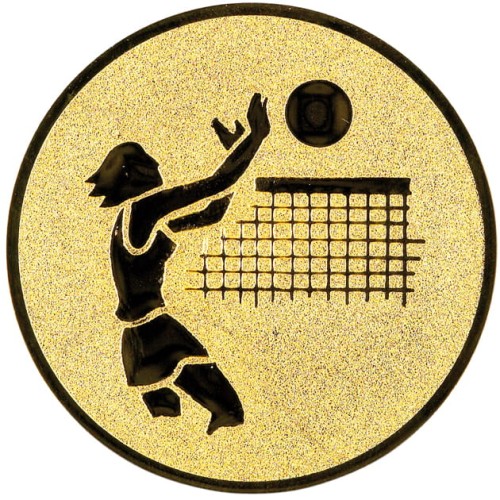Emblemat Siatkówka A1.020 