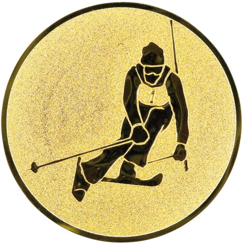 Emblemat Narciarstwo A1.095