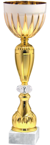 Złoty Puchar ATON 10250 - Okolicznościowe Puchary Sportowe