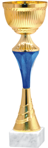 Okazyjny Puchar BLUE STEM 10287 - Unikatowe Puchary Sportowe