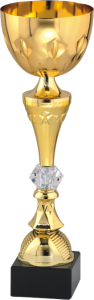 Złoty Puchar Premium Crystal S-9291 - Okazyjne Puchary Metalowe