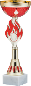 Stalowy Puchar Cup in Fire 9306 - Okazyjne Nagrody Sportowe