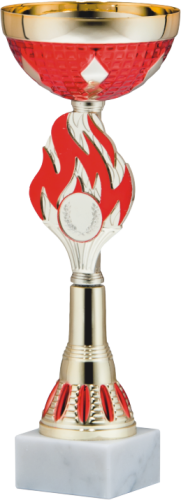 Stalowy Puchar Cup in Fire 9306 - Okazyjne Nagrody Sportowe