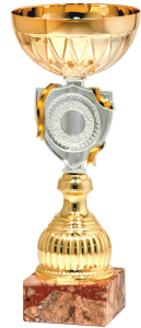 Okazjonalny Puchar SILVER BUCKLER 9319 - Metalowe Puchary Sportowe