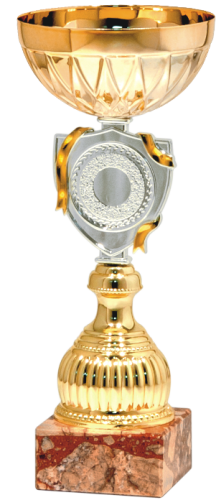 Okazjonalny Puchar SILVER BUCKLER 9319 - Metalowe Puchary Sportowe