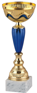 Okazjonalny Puchar FULL OF BLUE 9330 - Unikatowe Puchary Sportowe 