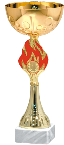 Złoty Puchar RED FLAME 9333 - Okazyjne Nagrody Sportowe