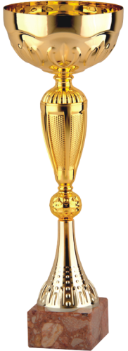 Złoty Puchar Polished Cup 9339 - Okazyjne Puchary Metalowe 