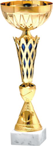 Okazjonalny Puchar AFRODYTA 9344 - Unikatowe Puchary Sportowe 
