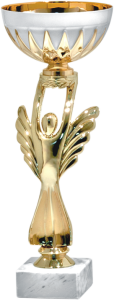 Okazjonalny Puchar GOLD ANGEL 9364 - Unikatowe Puchary Sportowe 