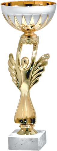 Okazjonalny Puchar GOLD ANGEL 9364 - Unikatowe Puchary Sportowe 