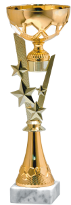 Okazjonalny Puchar Gold Star 9417 - Metalowe Puchary Sportowe