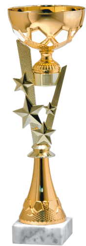 Okazjonalny Puchar Gold Star 9417 - Metalowe Puchary Sportowe