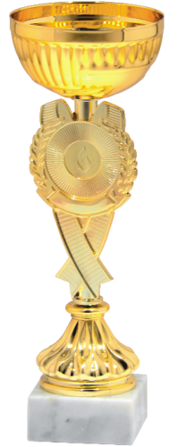 Złoty Puchar DORIAN 9457 - Okolicznościowe Nagrody Sportowe 