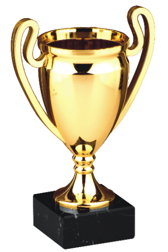 Okazyjny Puchar MINIATURE CUP v2 9573 - Plastikowe Puchary Turniejowe 