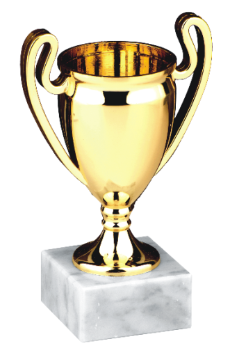 Okazyjny Puchar MINIATURE CUP v3 9576 - Plastikowe Puchary Turniejowe 