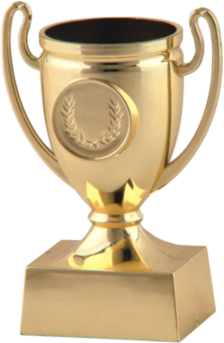 Złoty Puchar Arise Cup 9671 - Okazyjne Puchary Plastikowe 