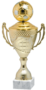 Złoty Puchar Premium Football 9723 - Okazjonalne Puchary Turniejowe