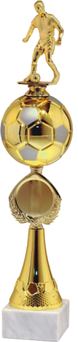 Okazjonalny Puchar Soccer Prize 9738