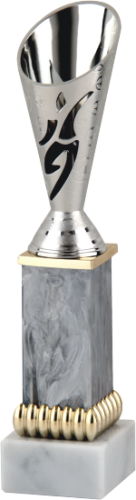 Okazjonalny Puchar Column Player 9770_B
