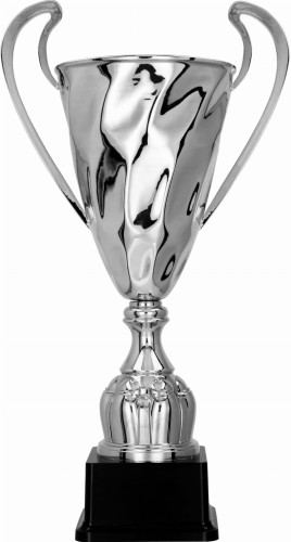 Puchar Metalowy Srebrny 2075 Trofeum Sportowe