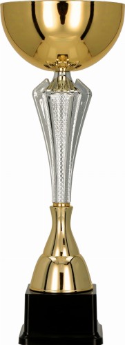 Puchar Metalowy 7241 Puchary Sportowe